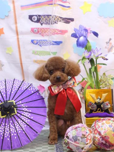 20240519カイくん